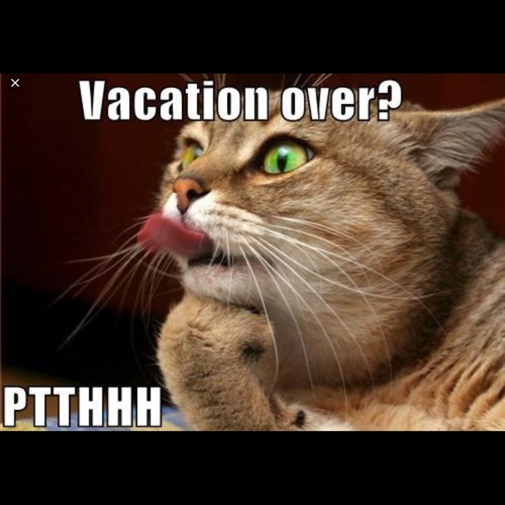 Closet is back online!